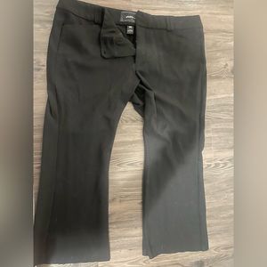 Torrid slacks size 24S
